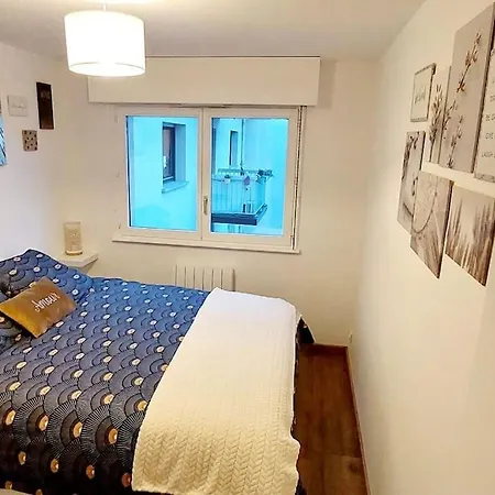 Apartman Cosy Strasbourg