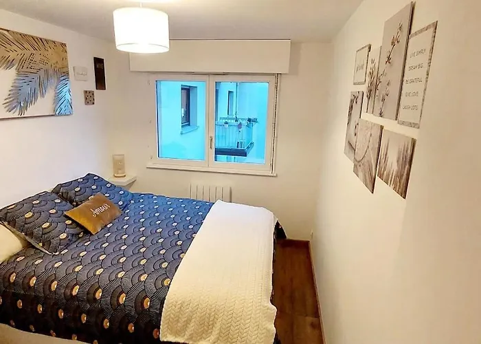 Daire Cosy Strazburg